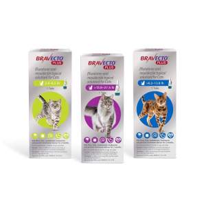 Bravecto Plus Topical for Cats