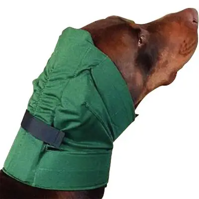 No Flap Ear Wrap - Image 2