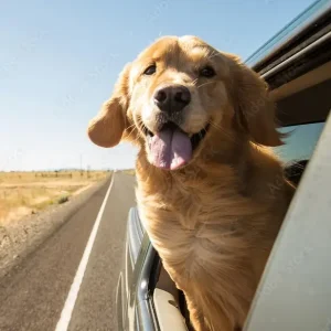 AdobeStock_115557929_Preview