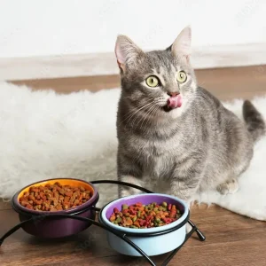 AdobeStock_140702976_Preview